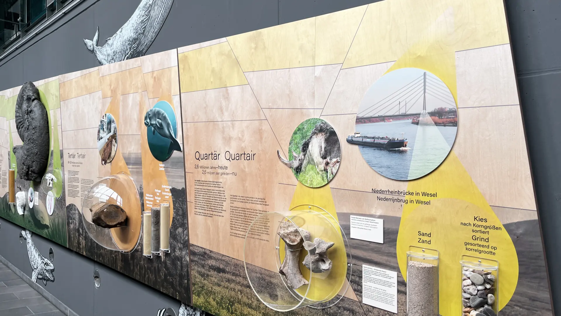 Die Erdgeschichte des Niederrheins wird anhand von Wandtafeln dargestellt